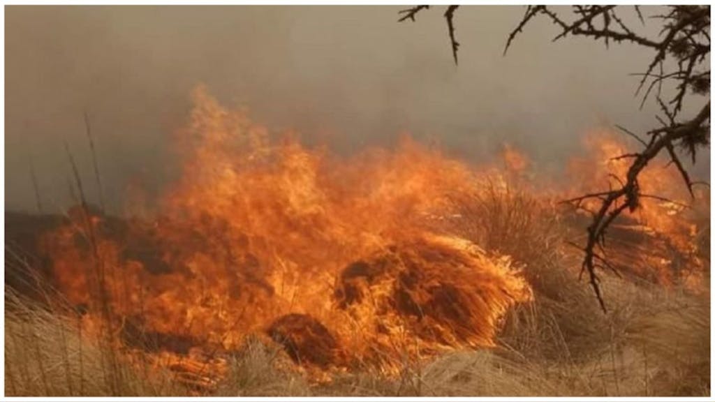 Incendios sin control en las sierras de Córdoba