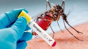 Grave aumento de casos de dengue en Argentina