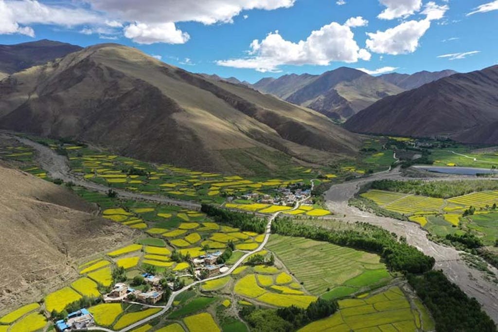 El Tíbet se tiñe de verde