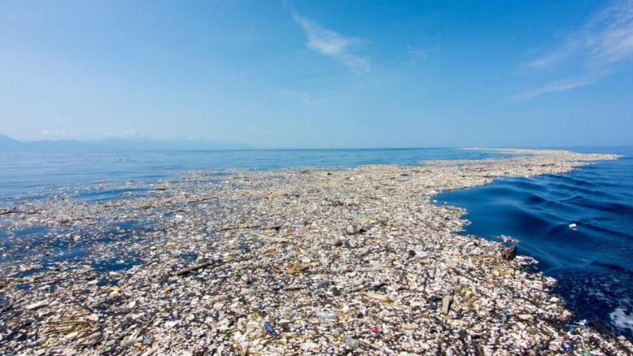 La Isla De Plástico Del Océano Pacífico Es Considerada Un Continente Por Su Gran Tamaño 9111