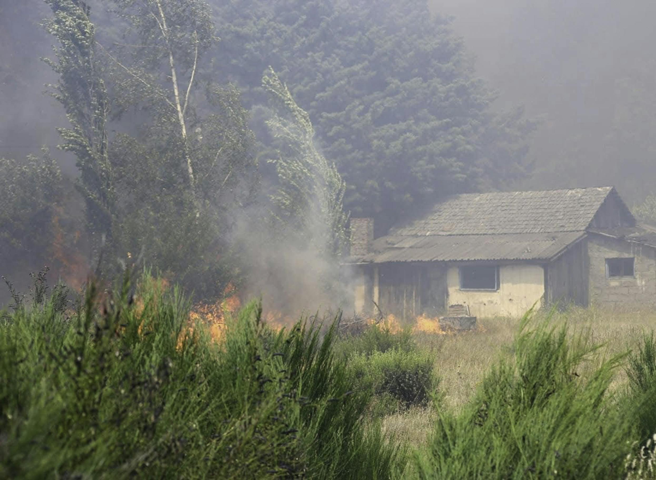 Fires in Patagonia continue to devastate hectares.